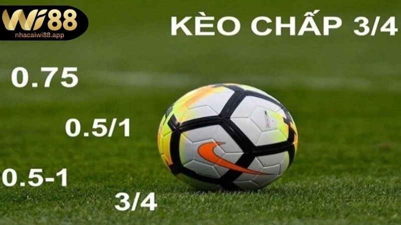 Kèo Chấp Là Gì? Kinh Nghiệm Soi Kèo Chuẩn Từ Chuyên Gia Hướng dẫn cách đọc tỷ lệ kèo chấp cực chuẩn