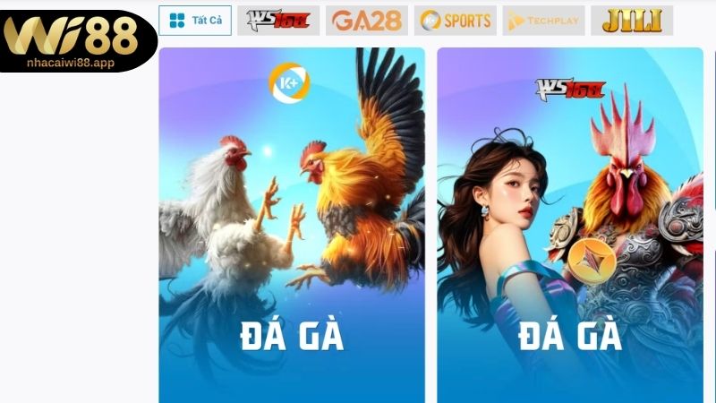 Hướng dẫn chi tiết cách chơi Đá gà WI88 cho sư kê