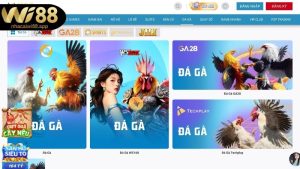 Khái niệm gà đá Thomo tại Wi88 là gì?