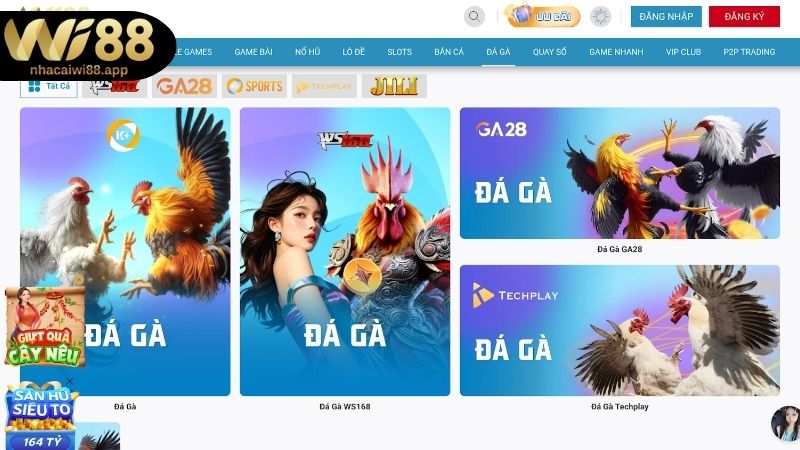 Khái niệm gà đá Thomo tại Wi88 là gì?