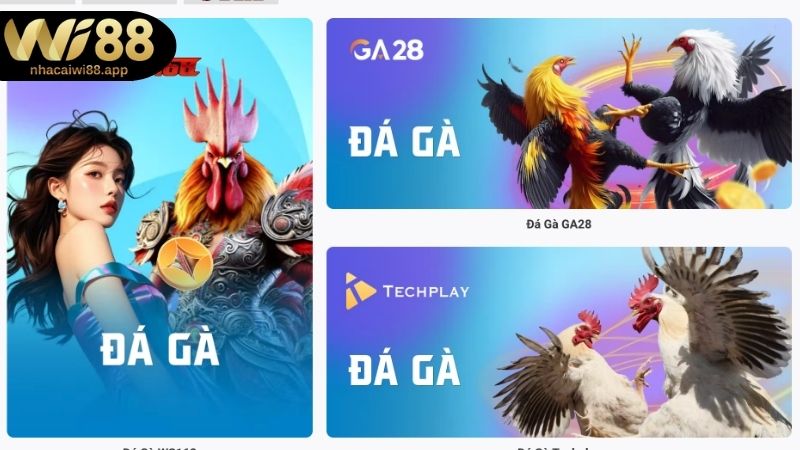 Những loại hình chọi kê hấp dẫn chỉ có tại Đá gà WI88